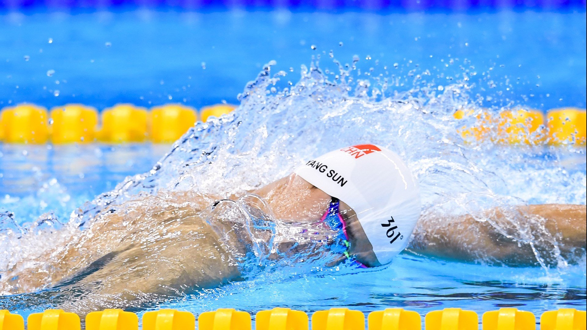 克罗地亚马术协会设立马匹福利基金，支持马匹退休生活。，克罗地亚马米奇